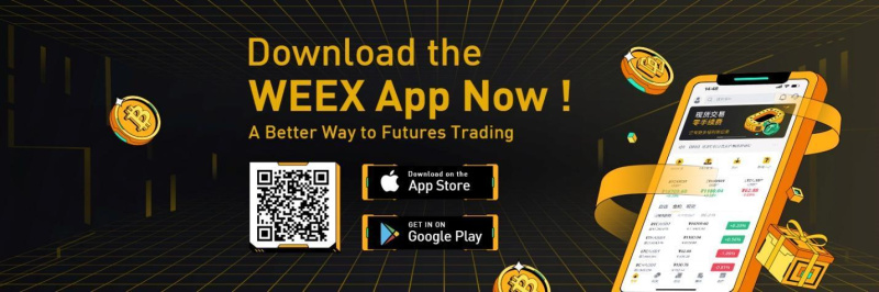WEEX Exchange Unveils WXT Token to