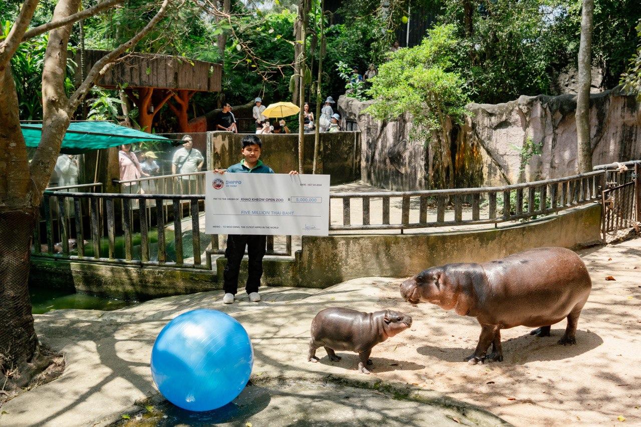 SUI meme $HIPPO enters into charity partnership with Moo Deng’s zoo