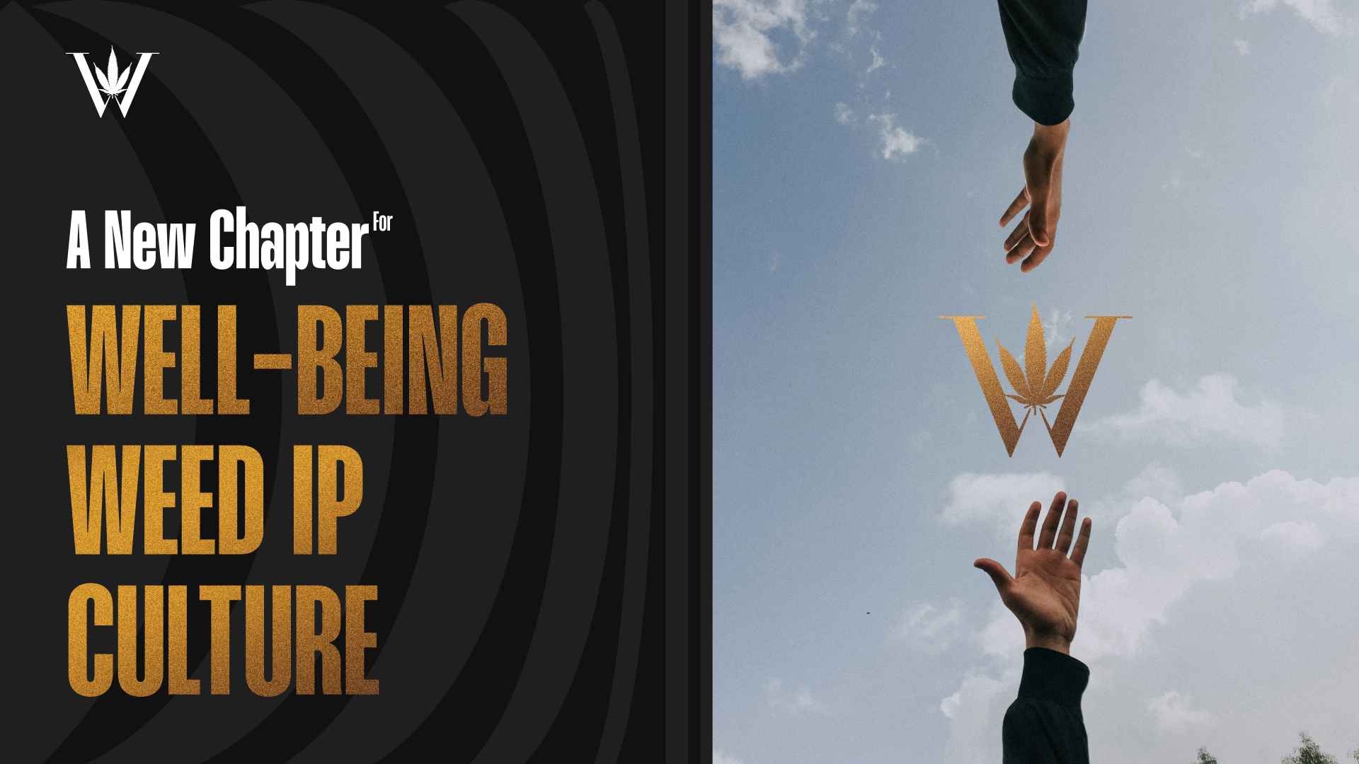 Weed Launches Global Well-Being Platform Powered by AI 1 Weed Launches Global Well-Being Platform Powered by AI